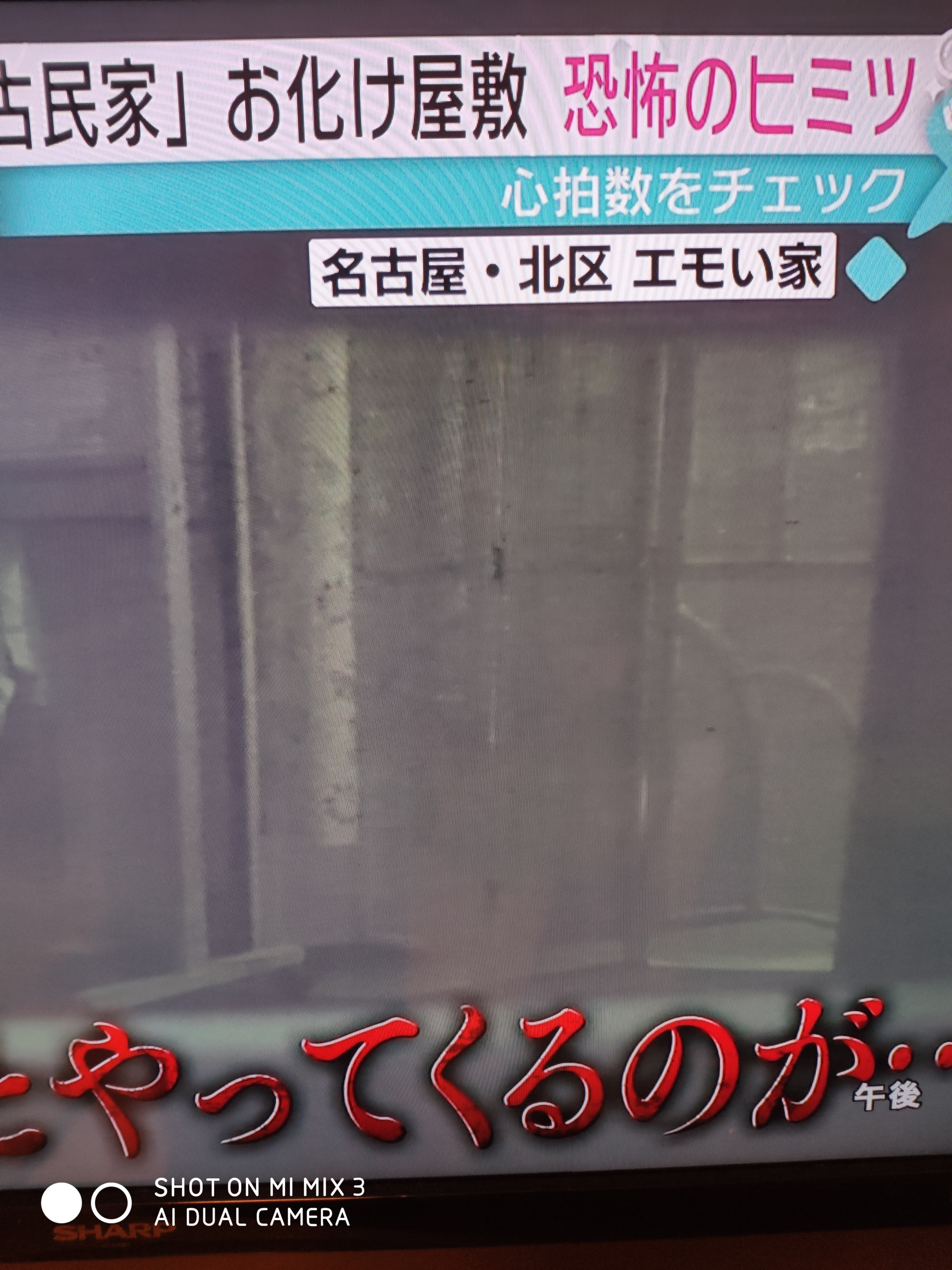 ���f�B�A���